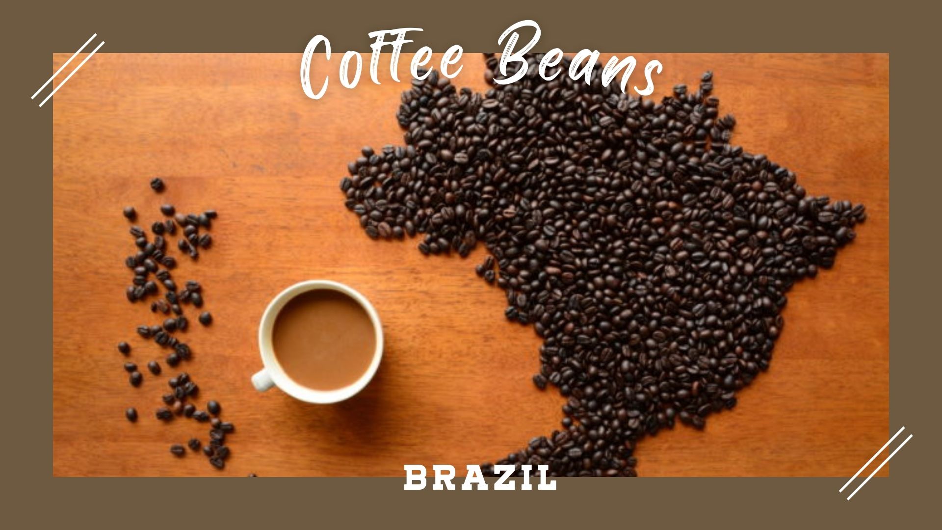 コーヒー豆　ブラジル