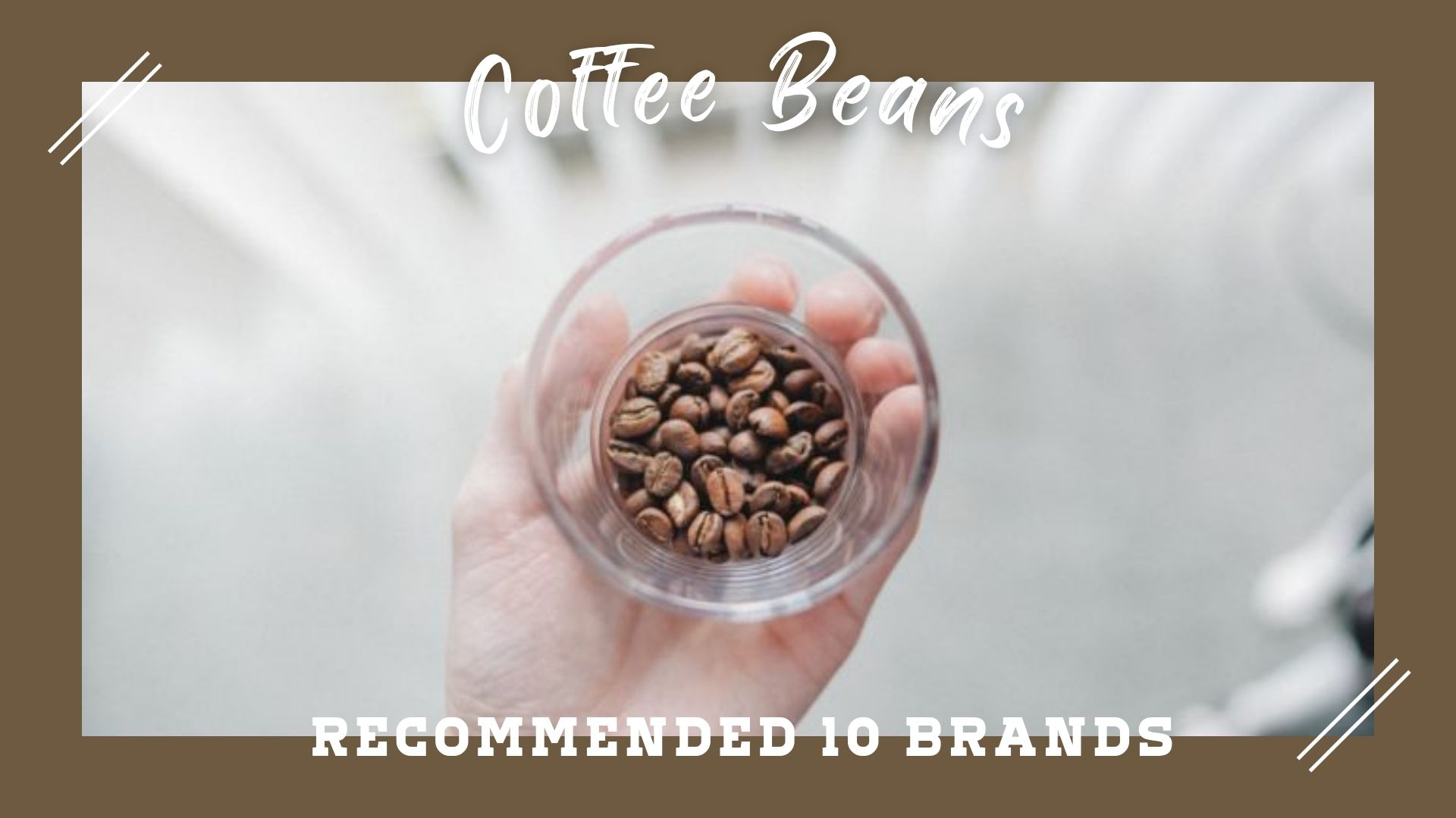 recommended 10 brands